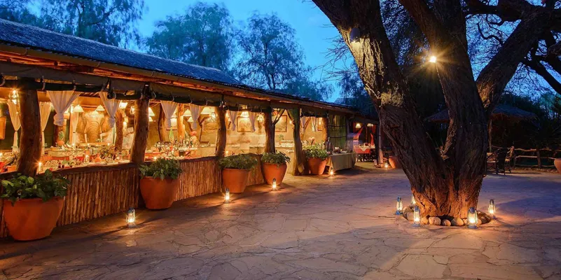 KIBO SAFARI CAMP - Safari Bucket List Amboseli - Densey Tours and Travel