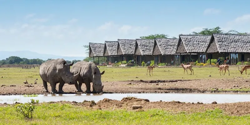 SWEET WATERS SERENA CAMP - Safari Bucket List Mt. Kenya - Densey Tours and Travel